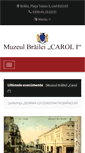 Mobile Screenshot of muzeulbrailei.ro