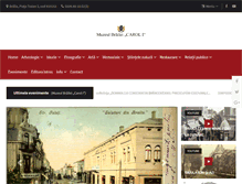 Tablet Screenshot of muzeulbrailei.ro